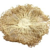 Omc 1960.665.001 (2) Edited